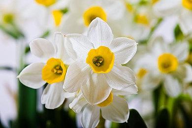 二战RTS游戏《归途列车》11月28日发售 登陆PC Steam